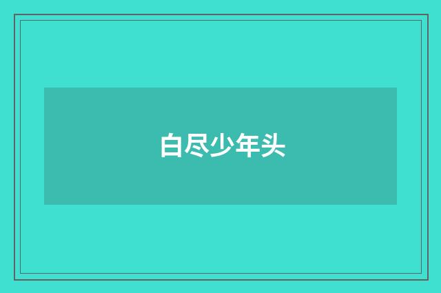 白尽少年头