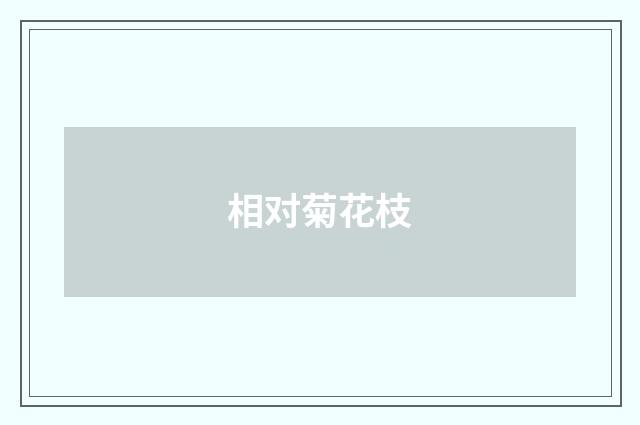相对菊花枝