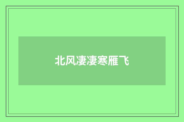 北风凄凄寒雁飞