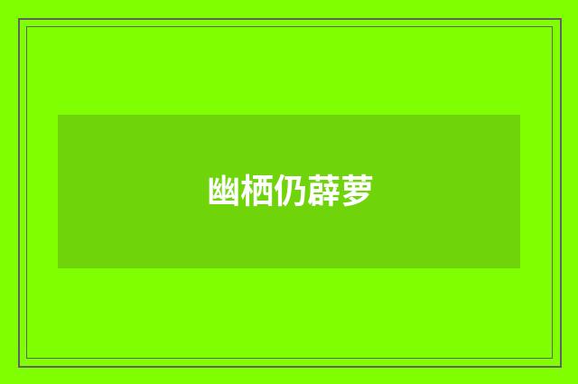 幽栖仍薜萝