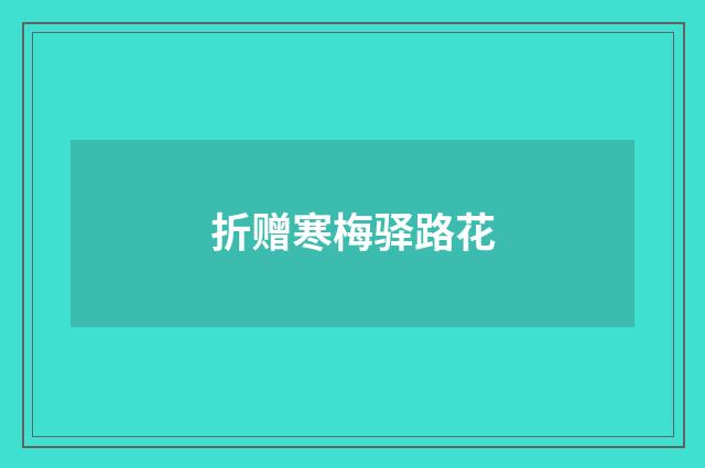 折赠寒梅驿路花