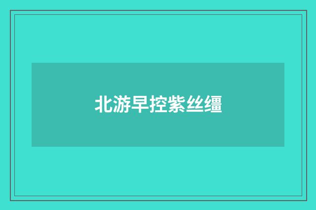 北游早控紫丝缰