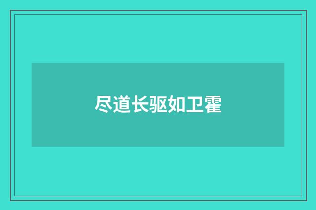 尽道长驱如卫霍