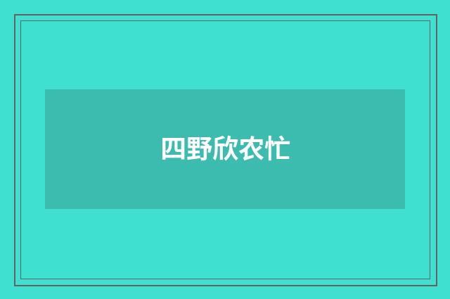 四野欣农忙