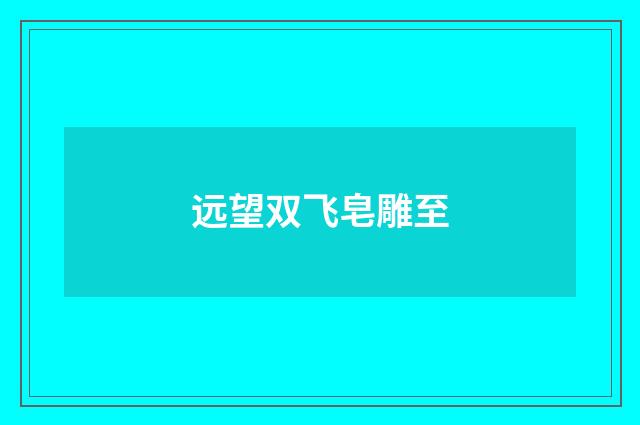 远望双飞皂雕至