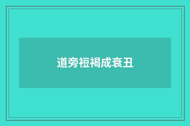道旁裋褐成衰丑