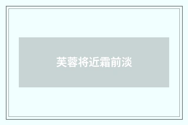 芙蓉将近霜前淡