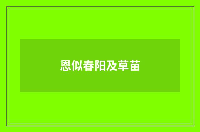 恩似春阳及草苗