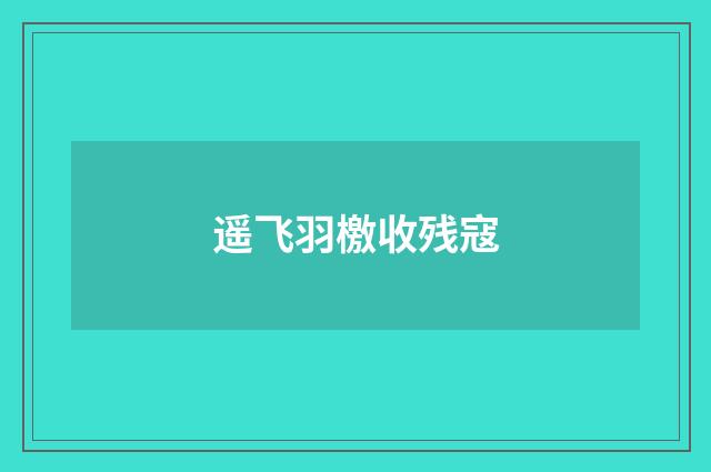 遥飞羽檄收残寇