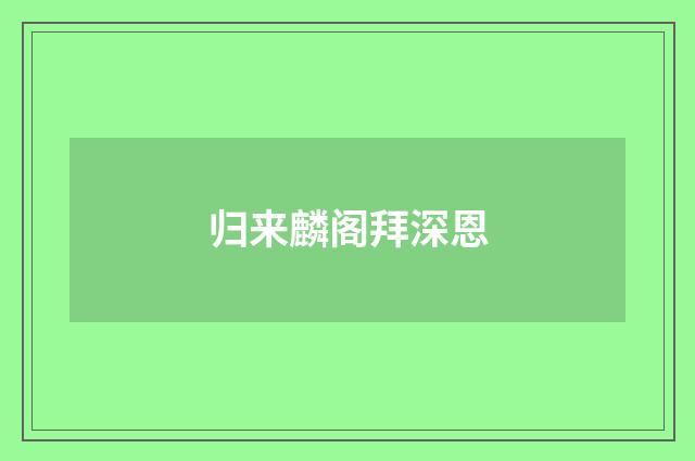 归来麟阁拜深恩