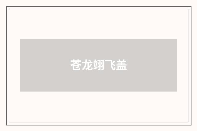 苍龙翊飞盖