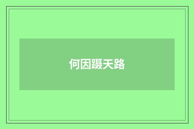 何因蹑天路