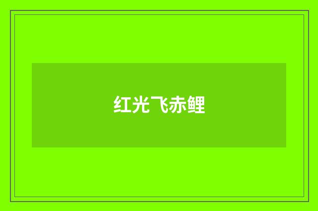 红光飞赤鲤