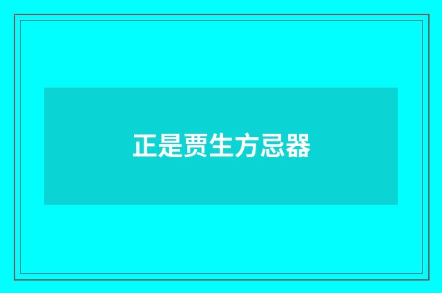 正是贾生方忌器