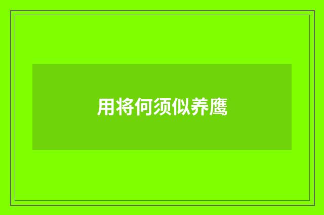 用将何须似养鹰