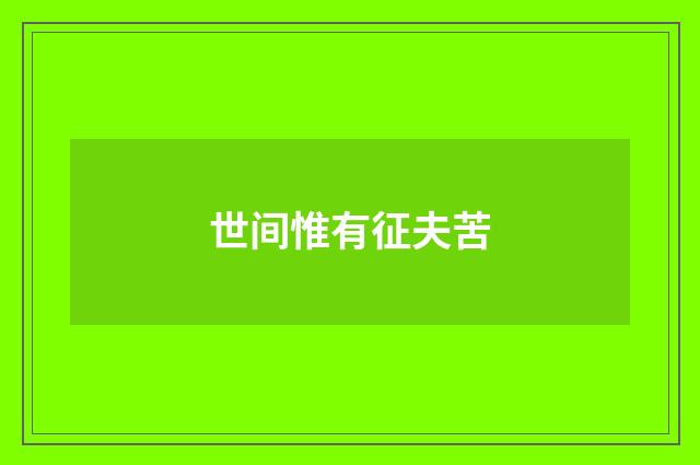 世间惟有征夫苦