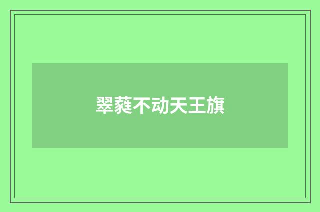 翠蕤不动天王旗