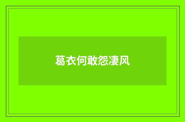 葛衣何敢怨凄风