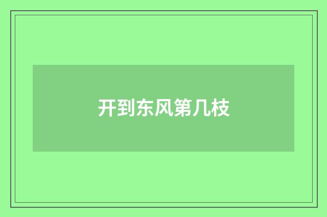 开到东风第几枝