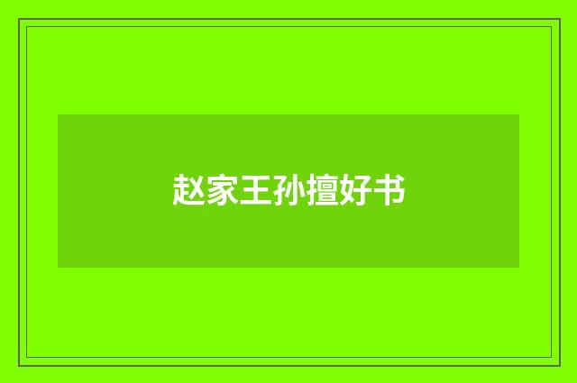 赵家王孙擅好书