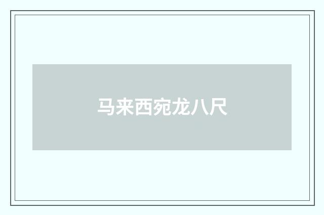 马来西宛龙八尺