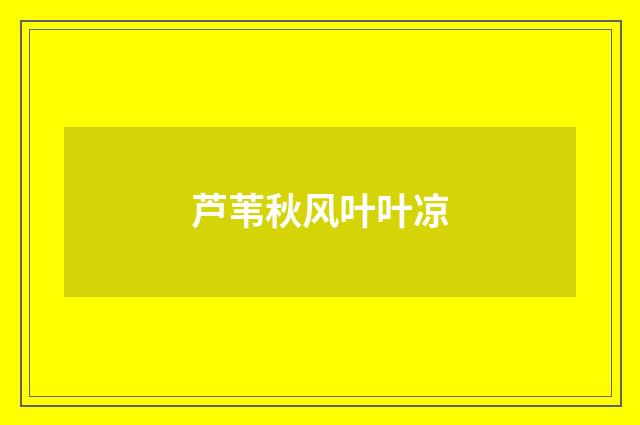 芦苇秋风叶叶凉