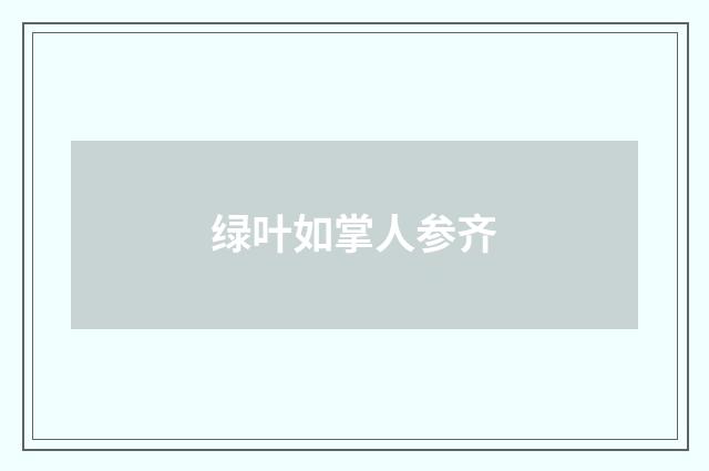 绿叶如掌人参齐