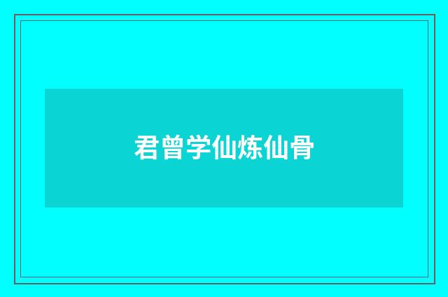 君曾学仙炼仙骨