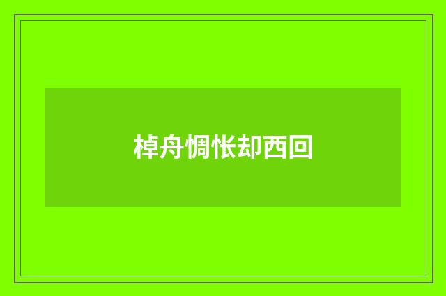 棹舟惆怅却西回