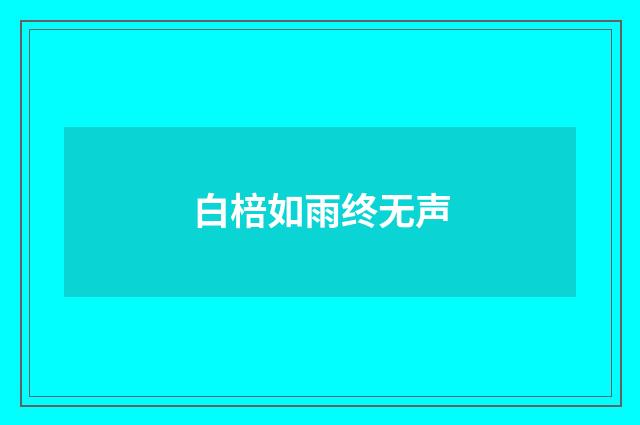 白棓如雨终无声