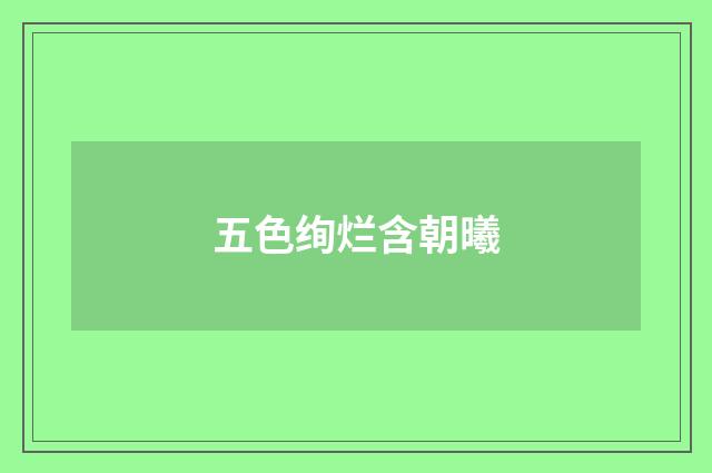 五色绚烂含朝曦
