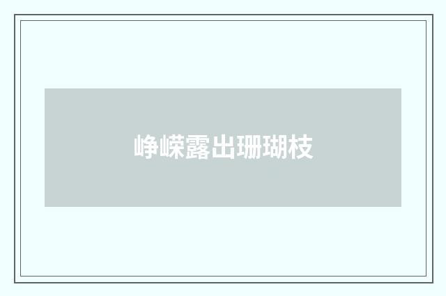 峥嵘露出珊瑚枝