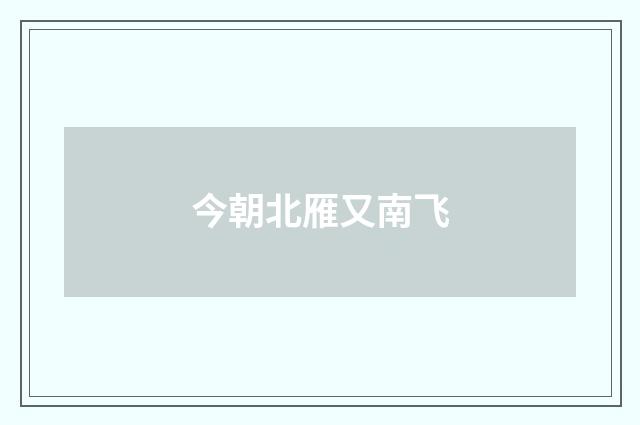 今朝北雁又南飞