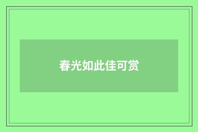 春光如此佳可赏