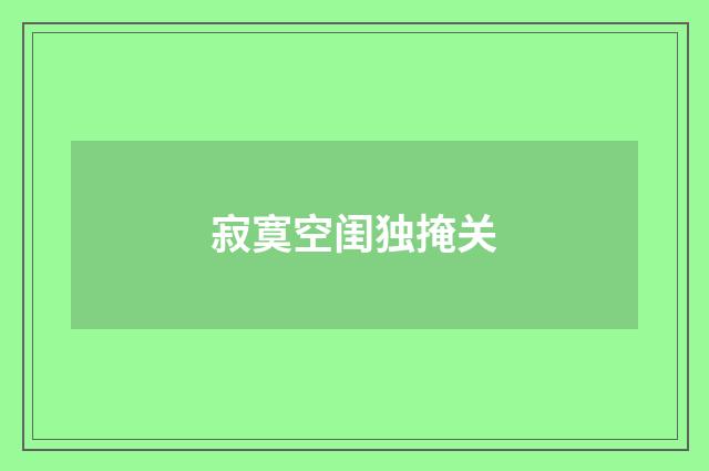 寂寞空闺独掩关