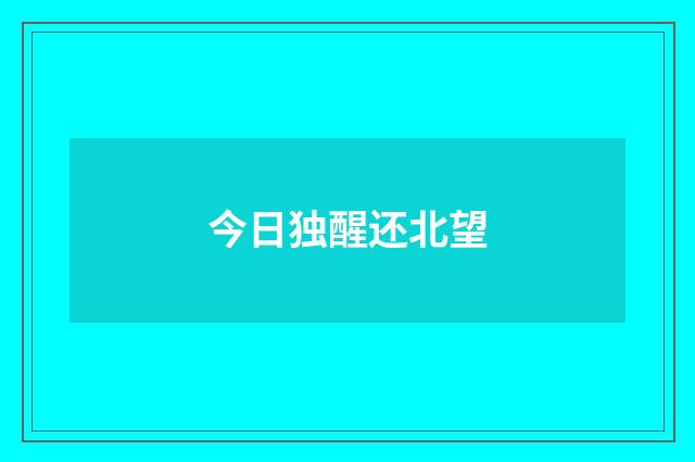 今日独醒还北望