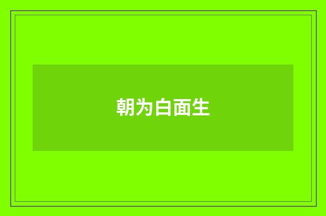 朝为白面生