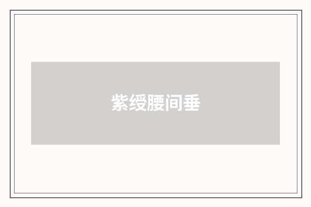紫绶腰间垂