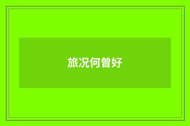 旅况何曾好