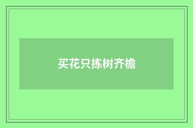 买花只拣树齐檐