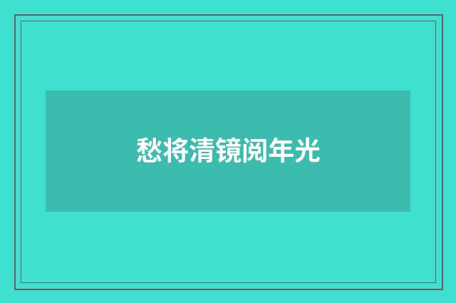 愁将清镜阅年光
