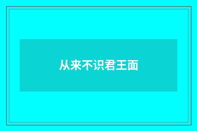 从来不识君王面