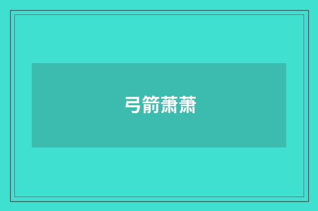 弓箭萧萧