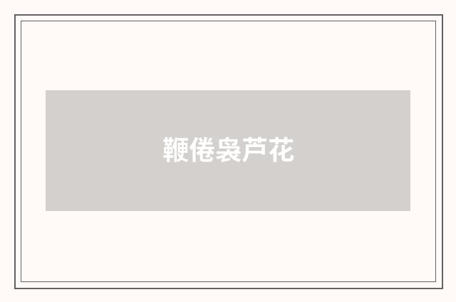 鞭倦袅芦花