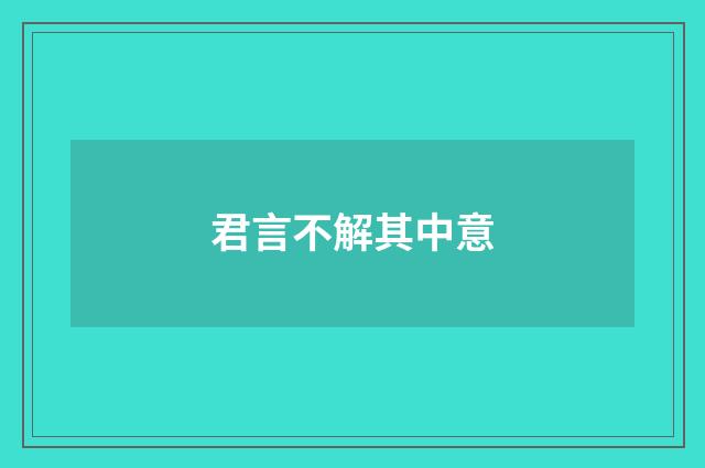 君言不解其中意