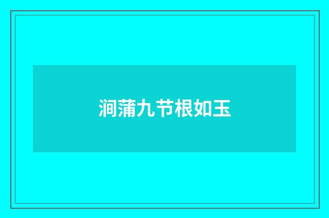 涧蒲九节根如玉