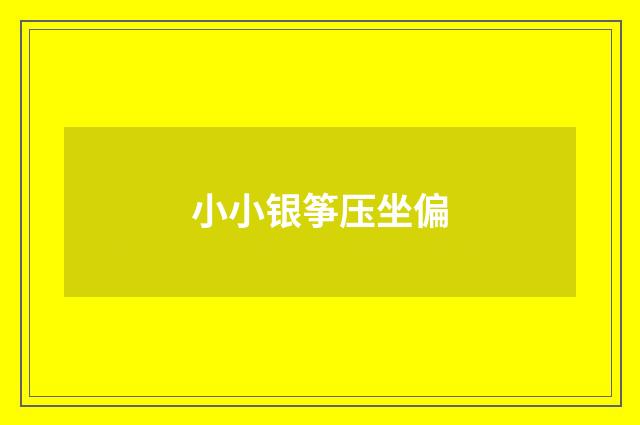 小小银筝压坐偏