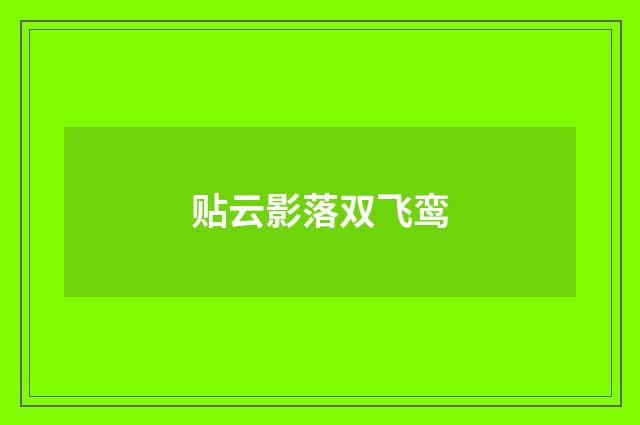 贴云影落双飞鸾
