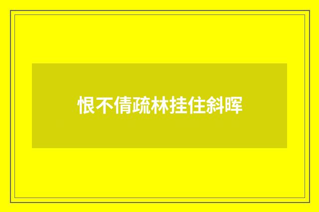 恨不倩疏林挂住斜晖