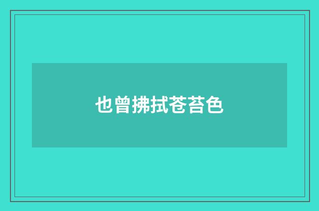 也曾拂拭苍苔色